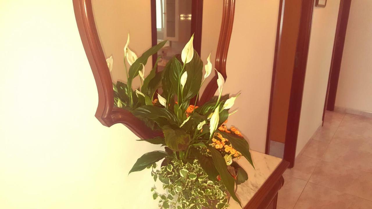Apartamento A Canteira O Grove Zewnętrze zdjęcie